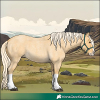 Horse Color:Palomino Roan Splash 
