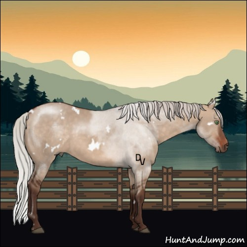 Horse Color:White Spotted Silver Brown Dun Sabino