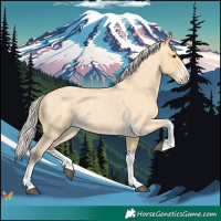 Horse Color:Silver Buckskin Roan Splash 