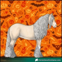 Horse Color:Silver Buckskin Roan Splash