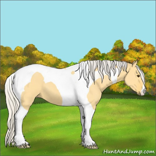 Horse Color:Silver Buckskin Dun Tobiano 