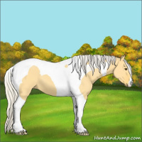 Horse Color:Silver Buckskin Dun Tobiano