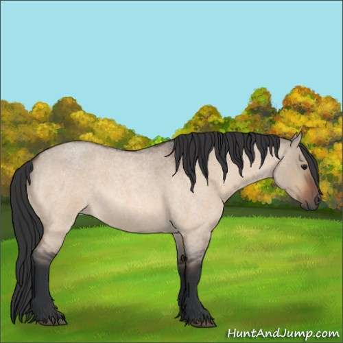 Horse Color:Bay Roan Dun 