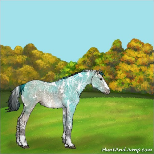 Horse Color:White Spotted Smoky Grullo Ice Sabino Rabicano 