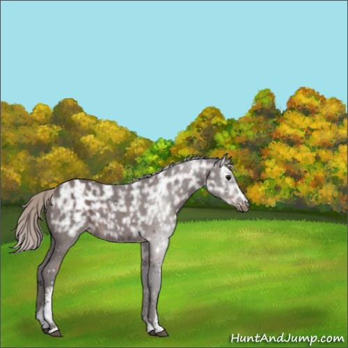 Horse Color:White Spotted Silver Brown Ice 