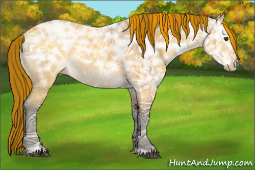 Horse Color:White Spotted Buckskin Ice Dun Sabino Rabicano 