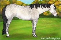 Horse Color:Brown Ice Onyx Sabino Rabicano 