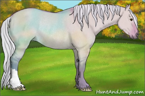 Horse Color:Watercolor Silver Buckskin Dun Rabicano 