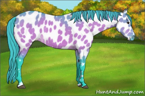 Horse Color:Watercolor Brown Dun Sabino Appaloosa Rabicano 