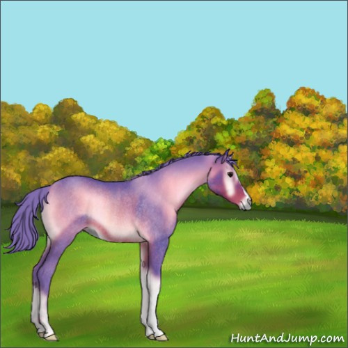 Horse Color:Watercolor Brown Onyx Rabicano 