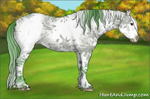 Horse Color:Watercolor White Spotted Grullo Ice Splash Rabicano 