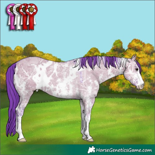 Horse Color:Watercolor White Spotted Smoky Grullo Ice Sabino Rabicano 