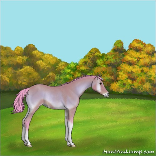 Horse Color:Watercolor Buckskin Onyx Rabicano 