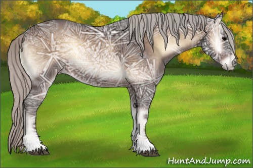 Horse Color:Silver Brown Ice Onyx Rabicano 