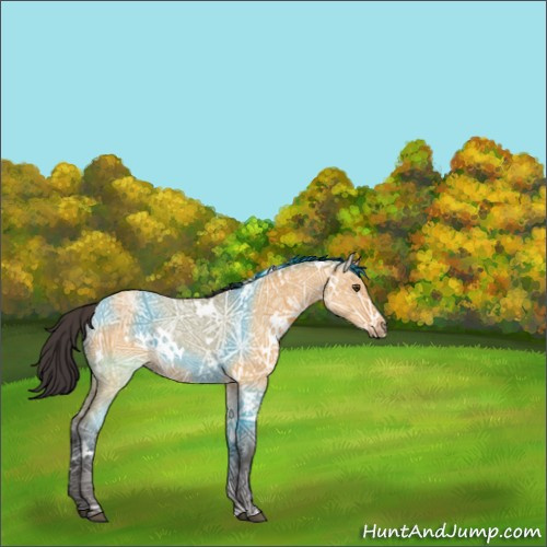 Horse Color:White Spotted Buckskin Ice Dun Rabicano 