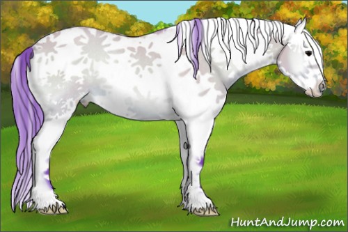 Horse Color:Watercolor White Spotted Bay Onyx Splash Rabicano 