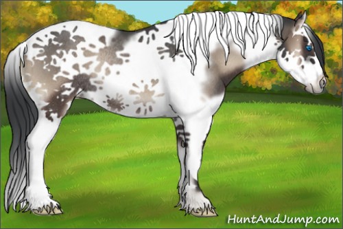 Horse Color:Blue Onyx Splash Tobiano Frame Rabicano 
