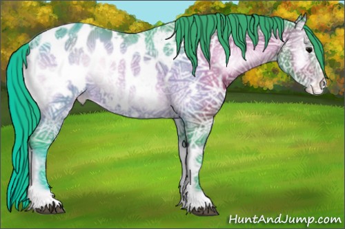 Horse Color:Watercolor Brown Ice Onyx Sabino Appaloosa Rabicano 