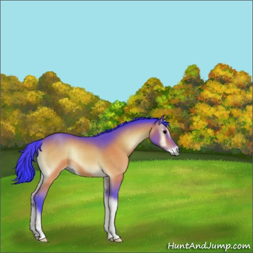 Horse Color:Watercolor Bay Onyx Rabicano 
