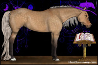 Horse Color:Silver Buckskin Dun 