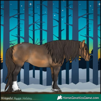 Horse Color:Buckskin Tobiano 