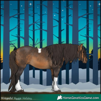Horse Color:Buckskin Tobiano 