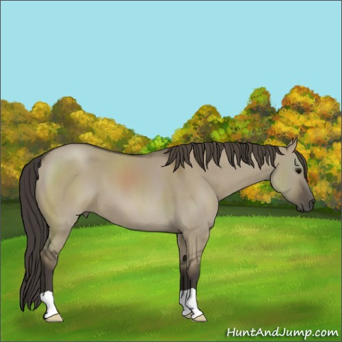 Horse Color:Smoky Grullo 