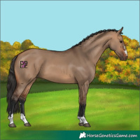 Horse Color:Bay Dun