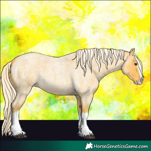 Horse Color:Palomino Roan Splash 