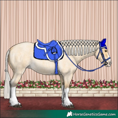 Horse Color:Silver Buckskin Roan Splash 