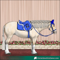 Horse Color:Silver Buckskin Roan Splash 
