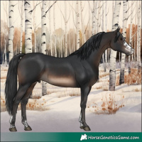 Horse Color:Brown Sabino