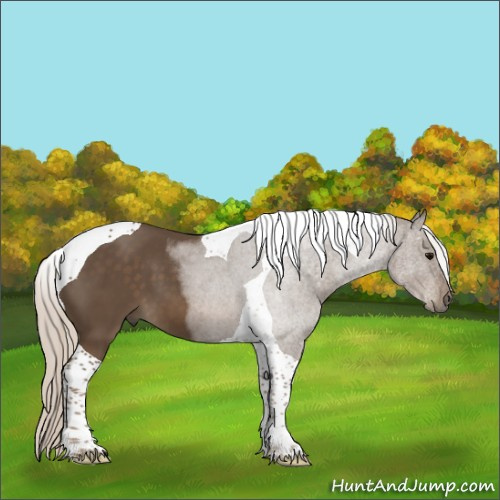 Horse Color:Silver Smoky Black Tobiano 