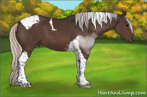 Horse Color:Silver Brown Tobiano 