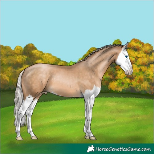 Horse Color:Chocolate Palomino Pearl Splash 