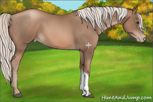 Horse Color:Silver Black Pearl 