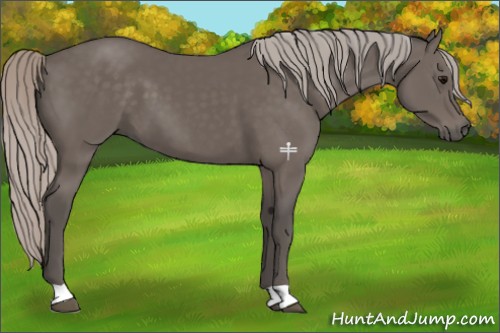 Horse Color:Silver Black 