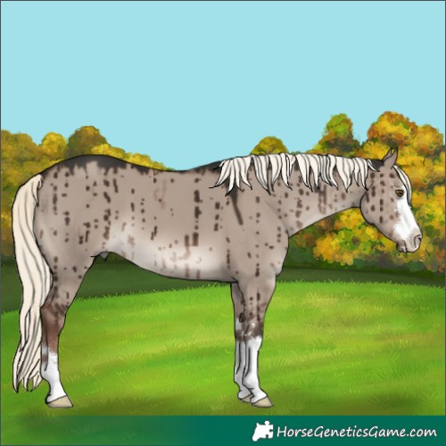 Horse Color:Liver Red Dun Mushroom Brindle 