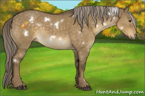 Horse Color:White Spotted Chocolate Palomino Dun 