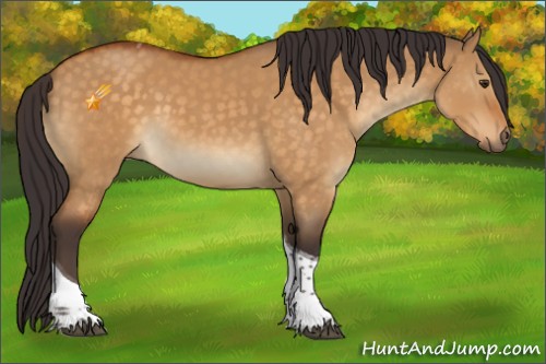 Horse Color:Buckskin Dun Tobiano 