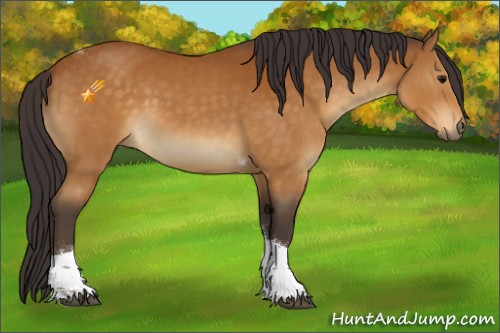 Horse Color:Buckskin Tobiano 