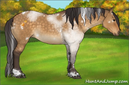 Horse Color:White Spotted Buckskin Dun Tobiano 
