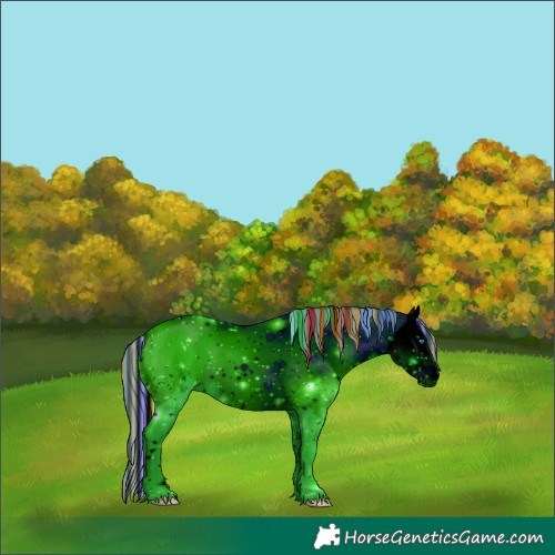 Horse Color:ERROR: UNKNOWN ANOMALY