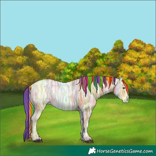 Horse Color:Painted Chestnut Ice Rabicano