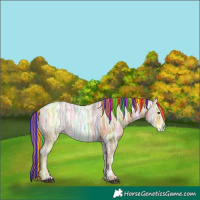 Horse Color:Painted Chestnut Ice Rabicano