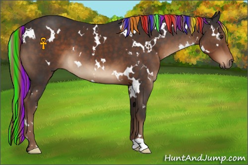Horse Color:Painted White Spotted Liver Chestnut 