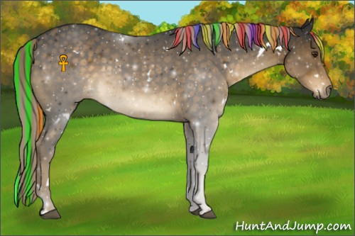 Horse Color:Painted White Spotted Chocolate Palomino 