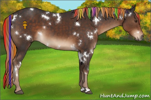 Horse Color:Painted White Spotted Liver Chestnut 