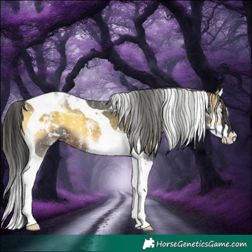 Horse Color:Brown Onyx Sabino Splash Tobiano 