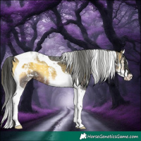 Horse Color:Brown Onyx Sabino Splash Tobiano 